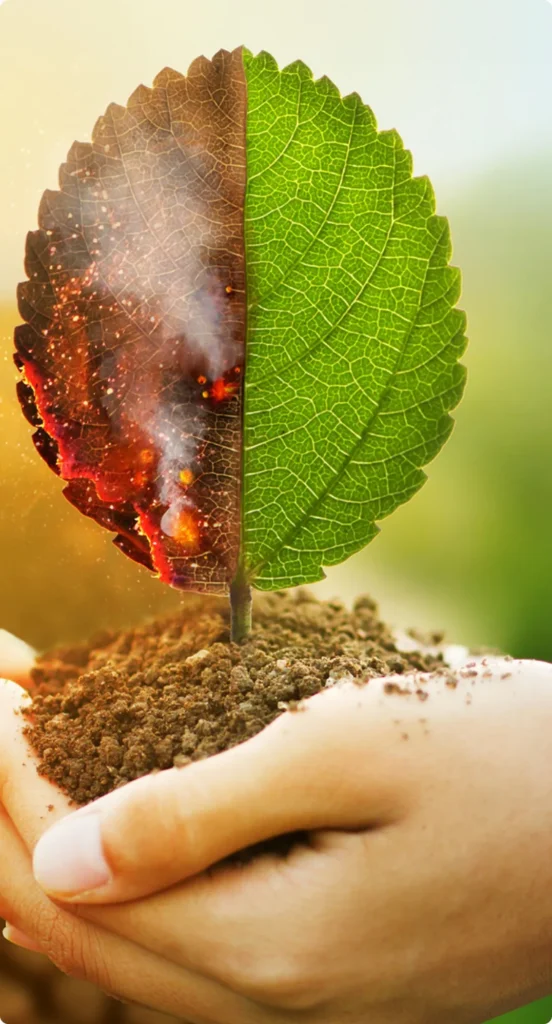 Benefits-of-Nature-Based-Solutions