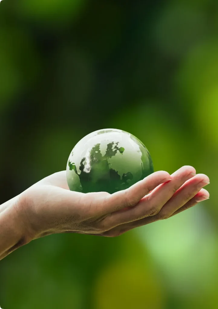 Why-Choose-Credynova-for-Carbon-Credits