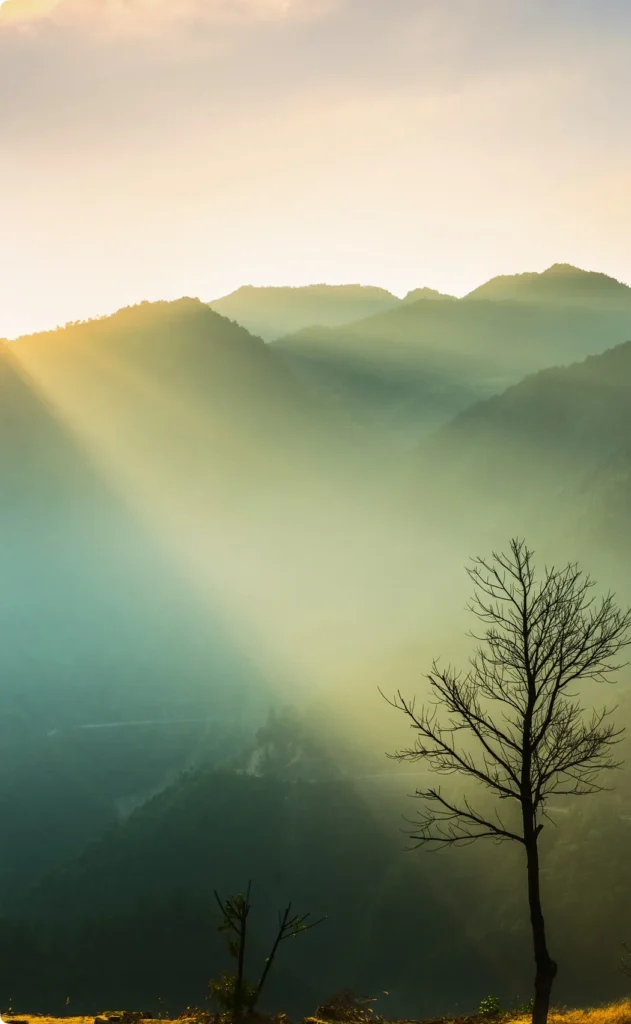 Why-Choose-Credynova-for-Nature-Based-Solutions_