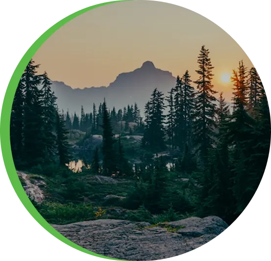 About AR-IFM