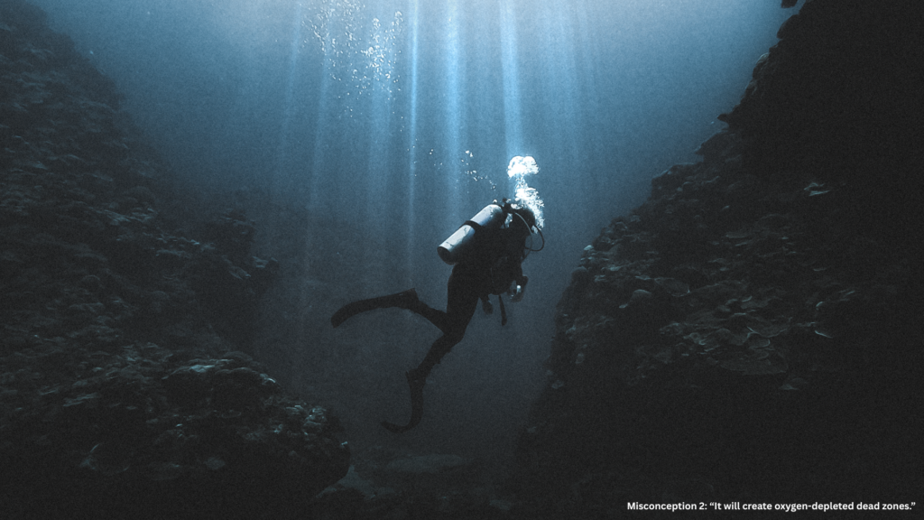 Misconception 2: “It will create oxygen-depleted dead zones.”

Dead zones happen when excess organic matter decays in enclosed waters, consuming oxygen faster than it’s replenished — a problem common in coastal bays and estuaries, not in the open ocean.

The open ocean is a different story. It’s vast, turbulent, and oxygen-rich due to constant mixing and contact with the atmosphere. In every OIF study so far, scientists have recorded no oxygen depletion during or after fertilization.

In fact, there’s evidence that OIF could actually reduce the formation of coastal dead zones.
How? By capturing excess nutrients in the Southern Ocean before they drift northward and fuel oxygen-starved areas like those near Peru or Namibia.

So instead of creating dead zones, responsible OIF could help prevent them.